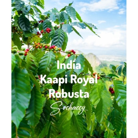 Indie Kaapi Royale | Świeżo Palona Robusta | Kawa Ziarnista