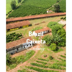Brazil Caixeta Freshly Roasted Arabica Coffee Grains