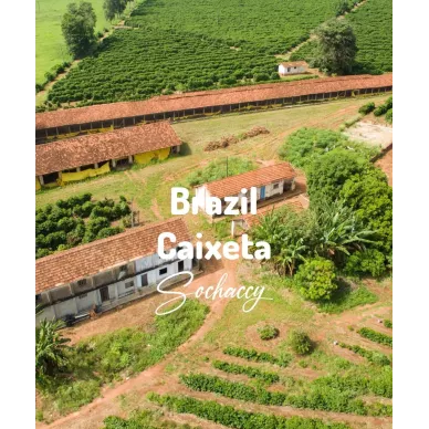 Brazylia Caixeta | Świeżo Palona Arabica | Kawa Ziarnista