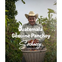 Guatemala Genuine Panchoy bean coffee