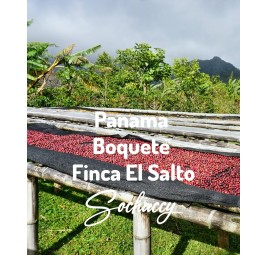 Panama Boquete Finca El Salto | Świeżo Palona Arabica | Kawa Ziarnista|Palarnia Kawy Sochaccy|Panama