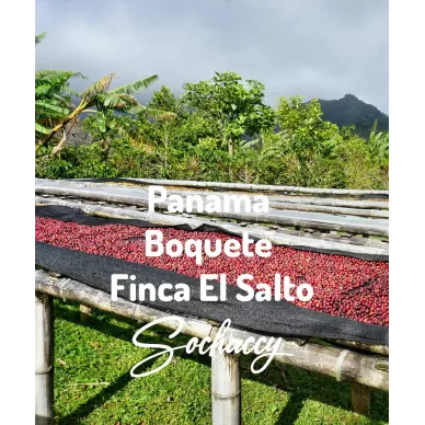 Panama Boquete Finca El Salto | Świeżo Palona Arabica | Kawa Ziarnista