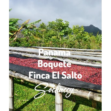 Panama Boquete Finca El Salto | Freshly Roasted Arabica | Coffee Bean