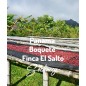 Panama Boquete Finca El Salto | Świeżo Palona Arabica | Kawa Ziarnista