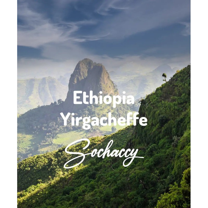 Kawa ziarnista z Etiopii region Yirgacheffee