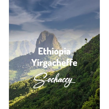 Ethiopia Yirgacheffe | Freshly Roasted Arabica | Coffee Bean