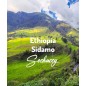 Etiopia Sidamo | Świeżo Palona Arabica | Kawa Ziarnista