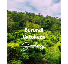 Burundi Gatukuza | Świeżo Palona Arabica | Kawa Ziarnista|Palarnia Kawy Sochaccy|Burundi