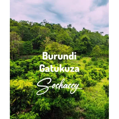 Burundi Gatukuza | Świeżo Palona Arabica | Kawa Ziarnista