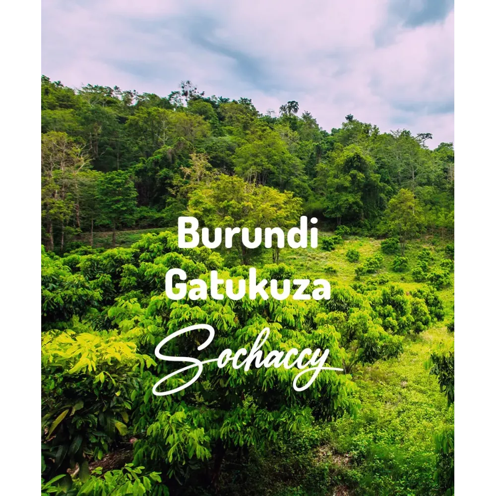 Kawa z Afryki Burundi Gatukuza | Palarnia Kawy Sochaccy