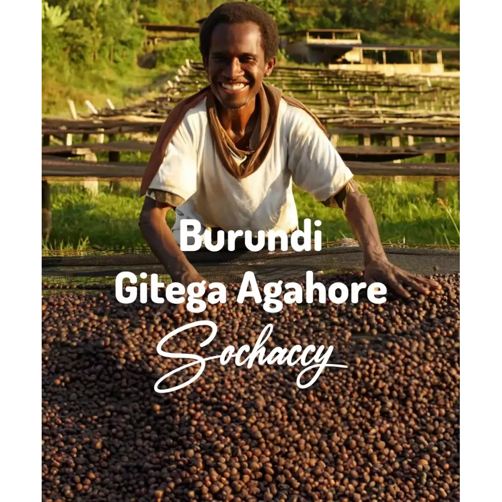 Burundi Gitega Agahore  Świeżo Palona Arabica  Kawa Ziarnista Sochaccy