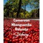 Kamerun Nkongsamba | Świeżo Palona Robusta | Kawa Ziarnista