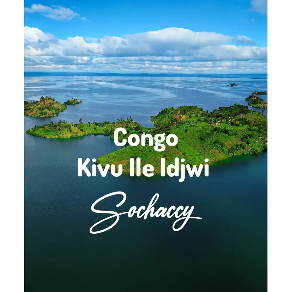 Kawa z Kongo Kivu | Palarnia Kawy Sochaccy