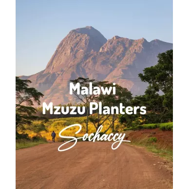 Malawi Mzuzu Planters | Świeżo Palona Arabica | Kawa Ziarnista