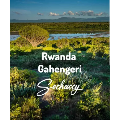 Rwanda Gahengeri | Świeżo Palona Arabica | Kawa Ziarnista