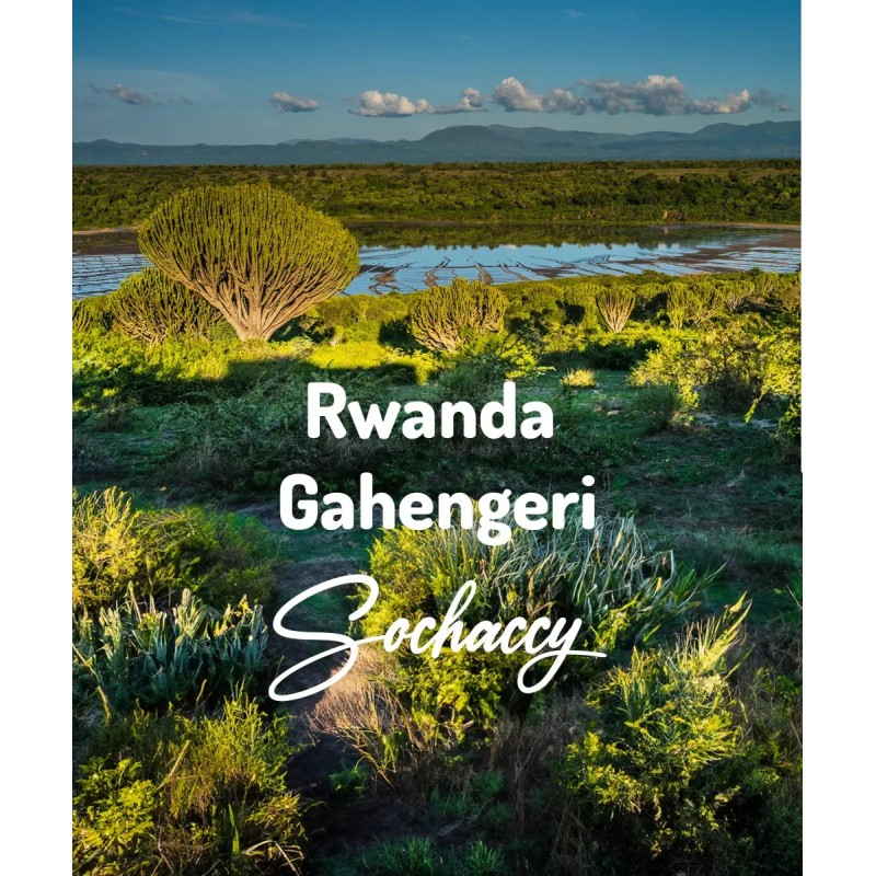 Kawa ziarnista Rwanda Gahengeri | Palarnia Kawy Sochaccy