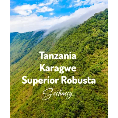 Tanzania Karagwe | Świeżo Palona Robusta | Kawa Ziarnista