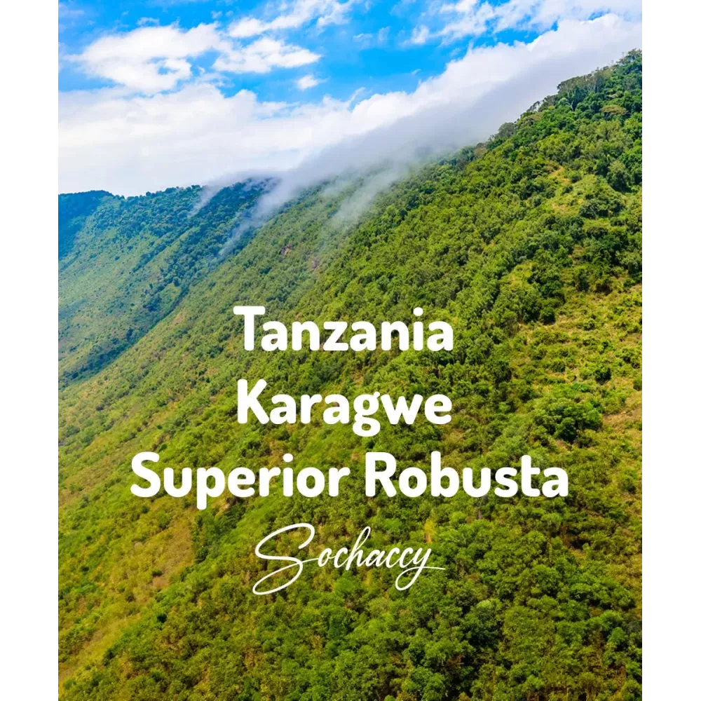 Kawa ziarnista Tanzania Karagwe | Palarnia Kawy Sochaccy