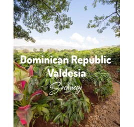Dominikana Valdesia | Świeżo Palona Arabica | Kawa Ziarnista|Palarnia Kawy Sochaccy|Dominikana