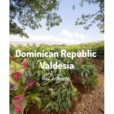 Dominikana Valdesia | Świeżo Palona Arabica | Kawa Ziarnista