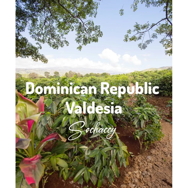 Dominican Valdesia | Freshly Roasted Arabica | Coffee Bean Coffee Dominican | Sochaccy.Co |