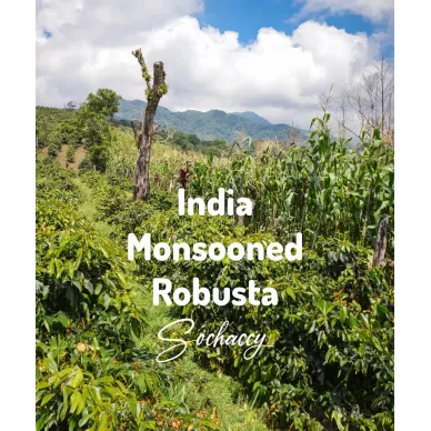 Indie Monsooned | Świeżo Palona Robusta | Kawa Ziarnista