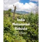 Indie Monsooned | Świeżo Palona Robusta | Kawa Ziarnista