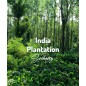 Indie Plantation | Świeżo Palona Arabica | Kawa Ziarnista