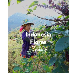 Specialty Coffee Indonesia Flores, Bajawa | Sochaccy.Co|.