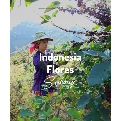 Indonezja Flores | Świeżo Palona Arabica | Kawa Ziarnista