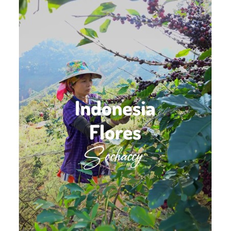 Indonezja Flores | Świeżo Palona Arabica | Kawa Ziarnista