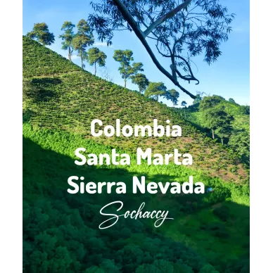 Kolumbia Santa Marta | Świeżo Palona Arabica | Kawa Ziarnista