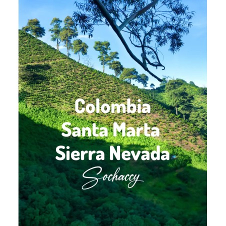 Kolumbia|Palarnia Kawy Sochaccy