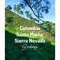 Colombia Santa Marta | Freshly Roasted Arabica | Coffee Beans