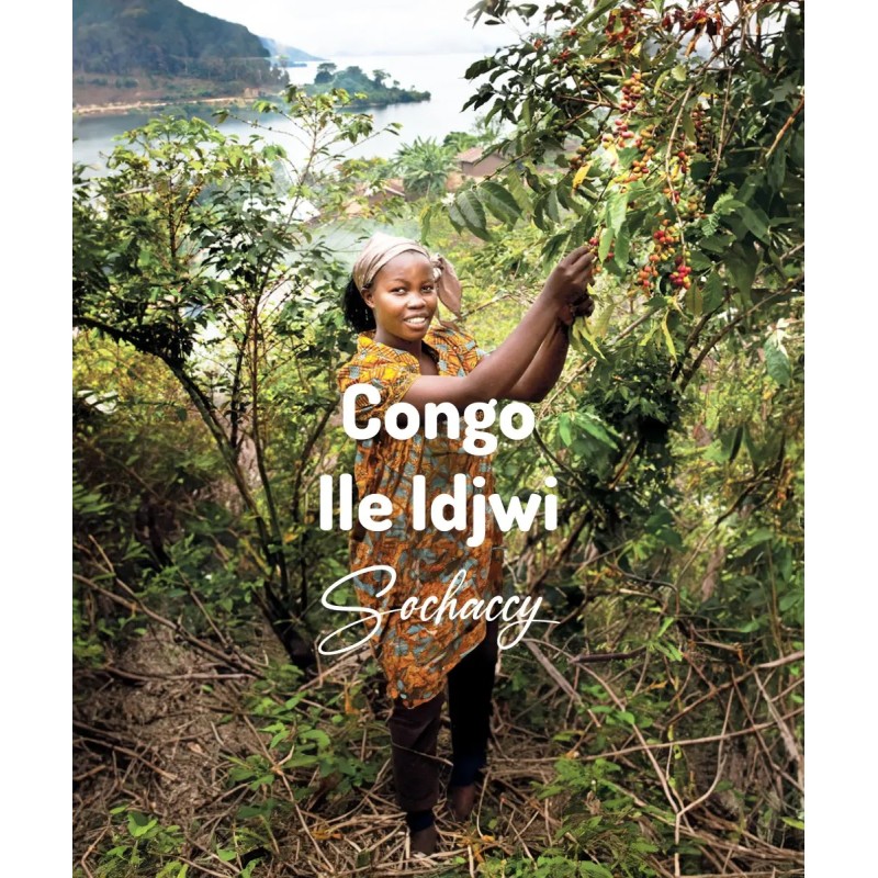 Kongo Ile Idjwi | Świeżo Palona Arabica | Kawa Ziarnista|Palarnia Kawy Sochaccy|Kongo