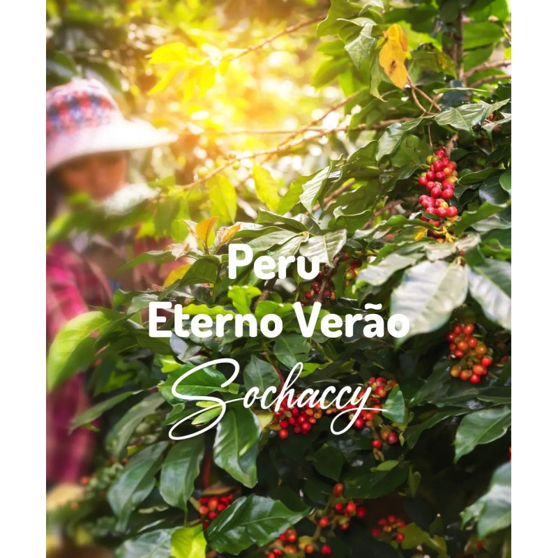 Kawa ziarnista Peru Eterno Verão - Plantacje kawy | Palarnia Kawy Sochaccy