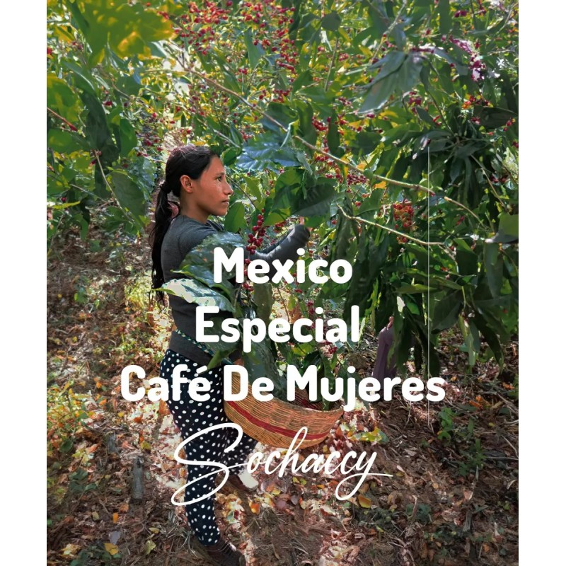 Meksyk Especial Café de Mujeres | Świeżo Palona Arabica | Kawa Ziarnista|Palarnia Kawy Sochaccy|Meksyk