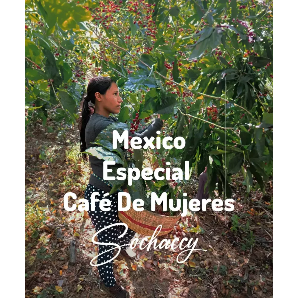 Kawa Meksyk Especial Café de Mujeres Świeżo Palona Arabica Rzemieślnicza Kawa Ziarnista