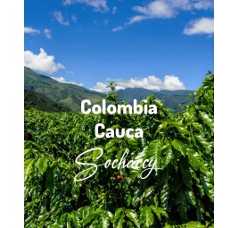 Kolumbia|Palarnia Kawy Sochaccy