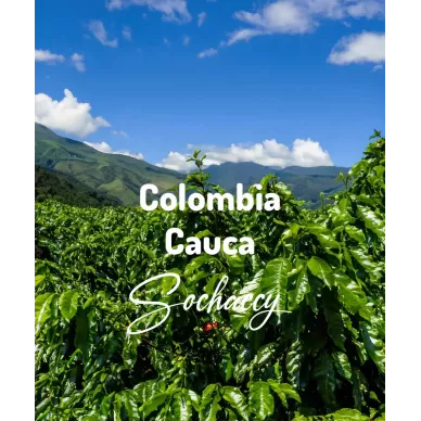 Kolumbia Cauca | Świeżo Palona Arabica | Kawa Ziarnista