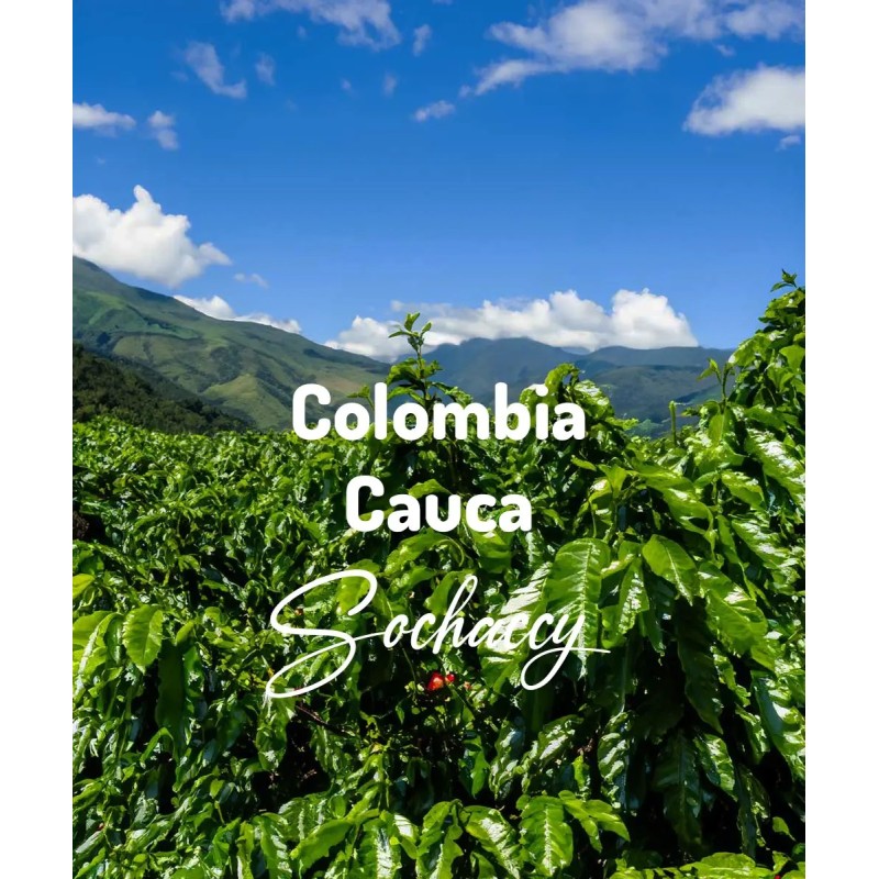 Kawa Kolumbia Cauca | Świeżo Palona Arabica | Kawa Ziarnista | Sochaccy.Co |Kolumbia