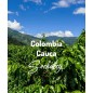 Colombia Cauca | Freshly Roasted Arabica | Coffee Beans