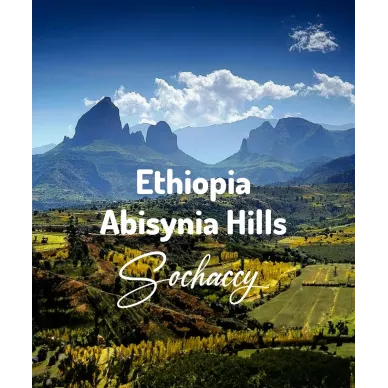 Etiopia Abisynia Hills | Świeżo Palona Arabica | Kawa Ziarnista