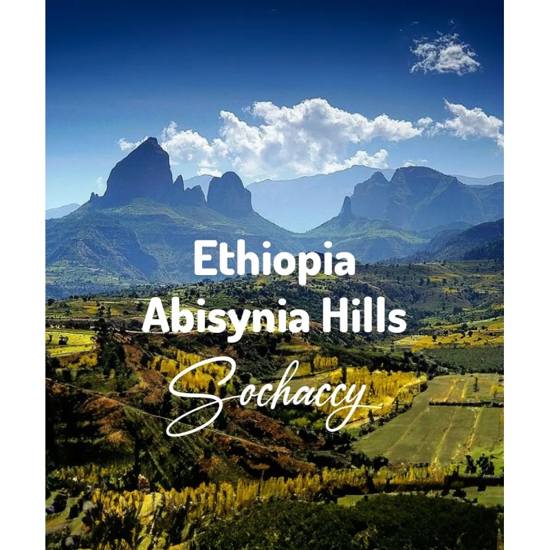 Kawa ziarnista Etiopia Abisynia Hills | Palarnia Kawy Sochaccy