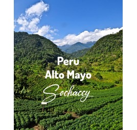 Peru|Palarnia Kawy Sochaccy