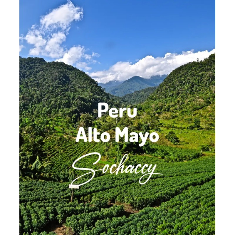Peru Alto Mayo | Świeżo Palona Arabica | Kawa Ziarnista|Palarnia Kawy Sochaccy|Peru