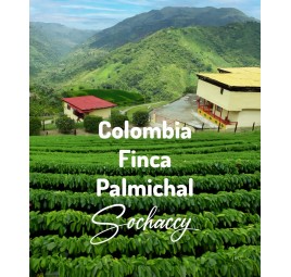 Kolumbia Finca Palmichal | Świeżo Palona Arabica | Kawa Ziarnista|Palarnia Kawy Sochaccy|Kolumbia