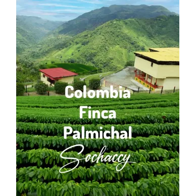 Kolumbia Finca Palmichal | Świeżo Palona Arabica | Kawa Ziarnista