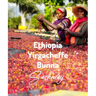 Etiopia Yirgacheffe Bunna | Świeżo Palona Arabica | Kawa Ziarnista