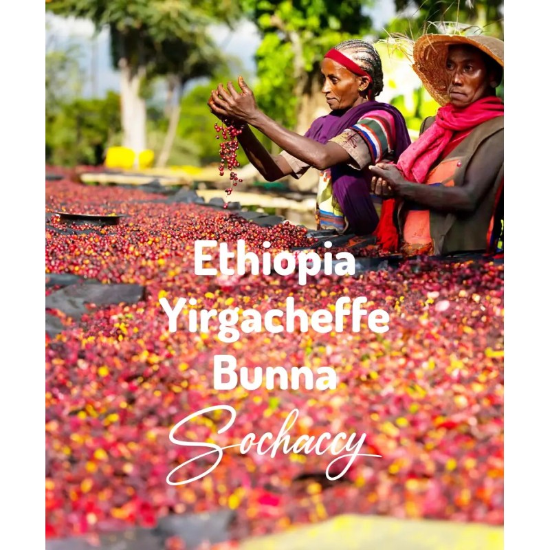 Etiopia Yirgacheffe Bunna | Świeżo Palona Arabica | Kawa Ziarnista|Palarnia Kawy Sochaccy|Etiopia